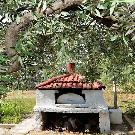 Penelope'S House Βίλα Σκάλα Καλλιράχης Εξωτερικό φωτογραφία